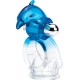 Wet Dreams - Dream Boy Dizzy Dolphin