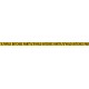 Wild Bitches Party Caution Tape