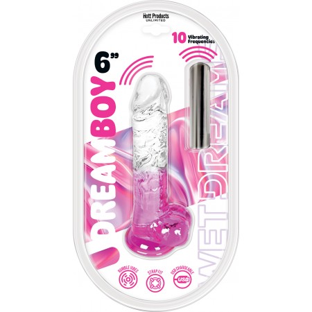 Dream Boy 6" - Jelly Vibrator - Wet Dreams